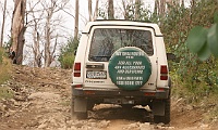 Disco climbs McFadens Track